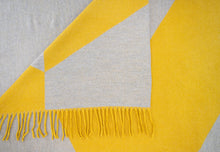 Load image into Gallery viewer, Shimmer Gift Boxed Scarf