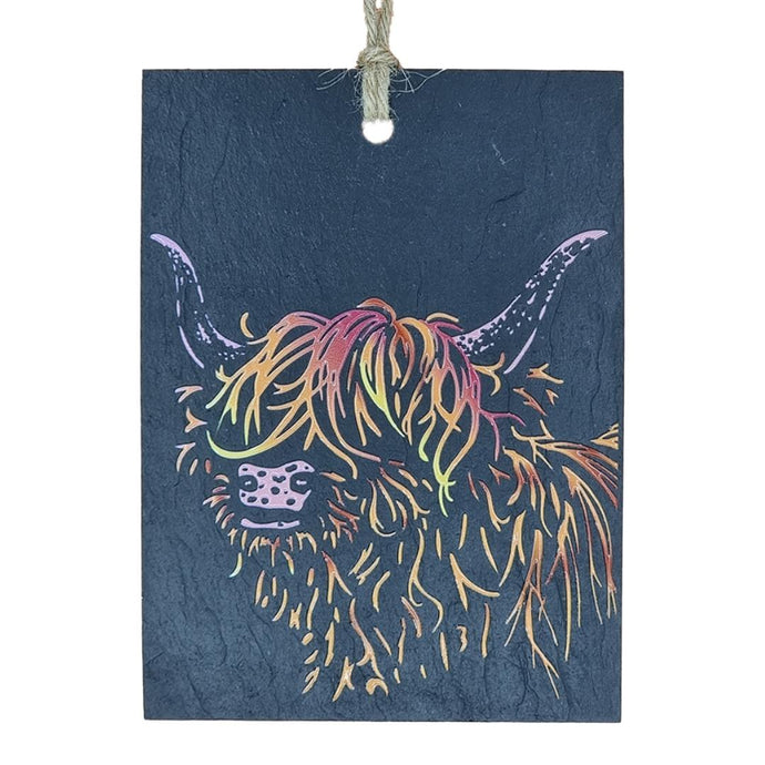 Slate Wall Hanger with Colourful design