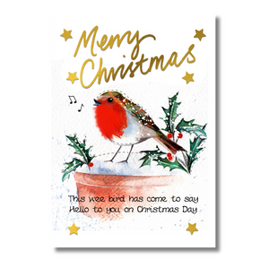 Merry Christmas Robin card