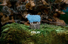 Load image into Gallery viewer, Woolly Ewe Magnets Handmade In Scotland
