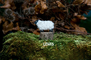 Woolly Ewe Keyrings Handmade In Scotland